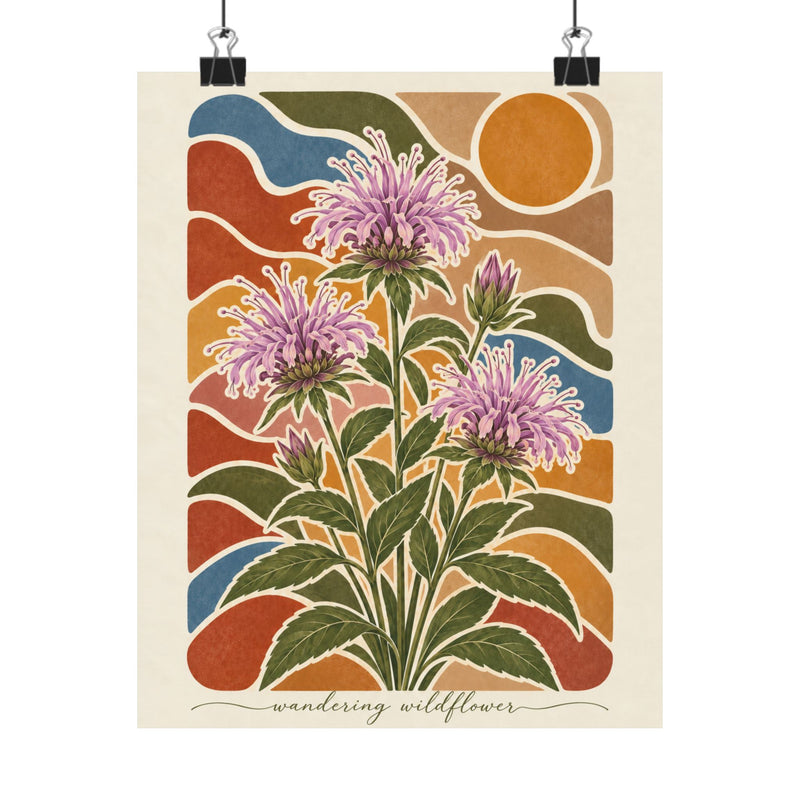 Wild Bergamot | Montana Wildflower Botanical Art Print