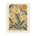 Glacier Lily | Botanical Wildflower Art Print - Image 2