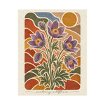 Pasque Flower | Montana Wildflower Botanical Art Print - Image 2