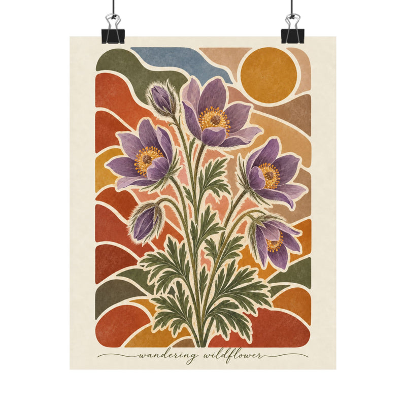 Pasque Flower | Montana Wildflower Botanical Art Print
